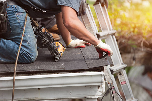 Best Roof Leak Repair  in Vine Hill, CA