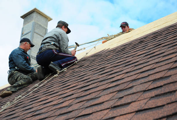 Best Shingle Roofing Installation  in Vine Hill, CA
